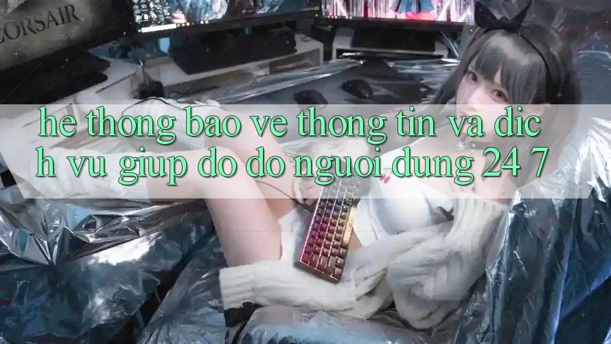 Hệ Thống Bảo vệ thông tin Và Dịch Vụ Giúp đỡ đỡ Người dùng 24/7 Hệ Thống Bảo vệ thông tin Và Dịch Vụ Giúp đỡ đỡ Người dùng 24/7