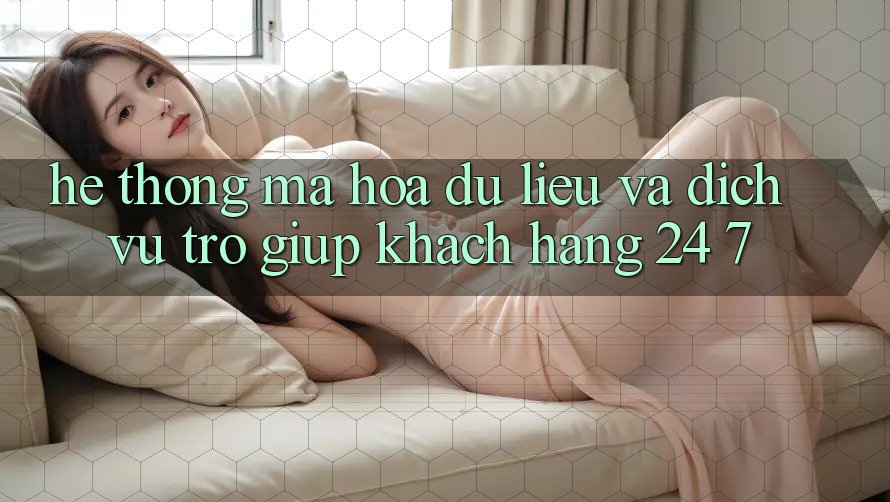 Hệ Thống Mã hóa dữ liệu Và Dịch Vụ Trợ giúp Khách Hàng 24/7 Hệ Thống Mã hóa dữ liệu Và Dịch Vụ Trợ giúp Khách Hàng 24/7