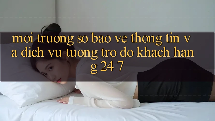 Môi trường số Bảo vệ thông tin Và Dịch Vụ Tương trợ đỡ Khách Hàng 24/7 Môi trường số Bảo vệ thông tin Và Dịch Vụ Tương trợ đỡ Khách Hàng 24/7
