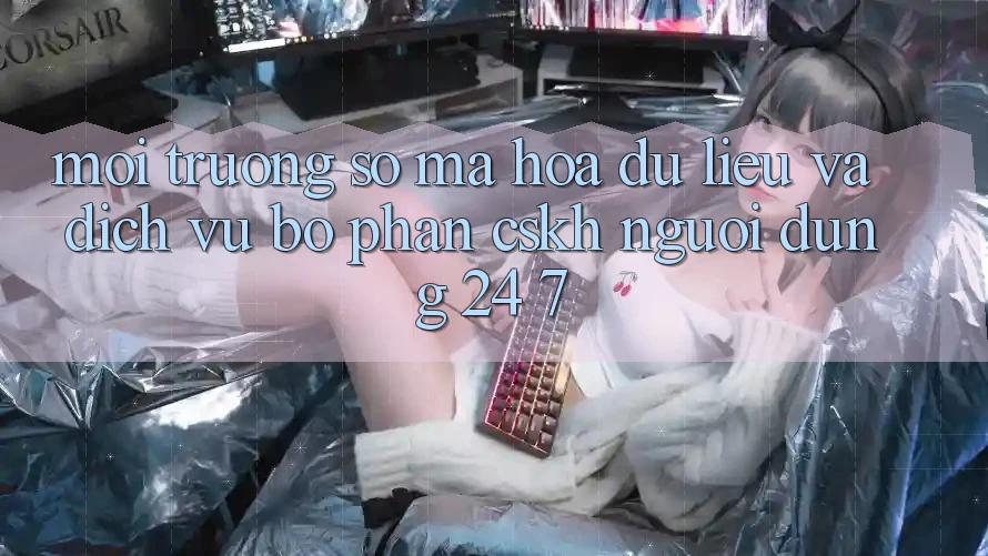 Môi trường số Mã hóa dữ liệu Và Dịch Vụ Bộ phận CSKH Người dùng 24/7 Môi trường số Mã hóa dữ liệu Và Dịch Vụ Bộ phận CSKH Người dùng 24/7